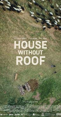 House without a roof
